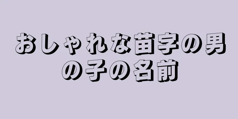 おしゃれな苗字の男の子の名前