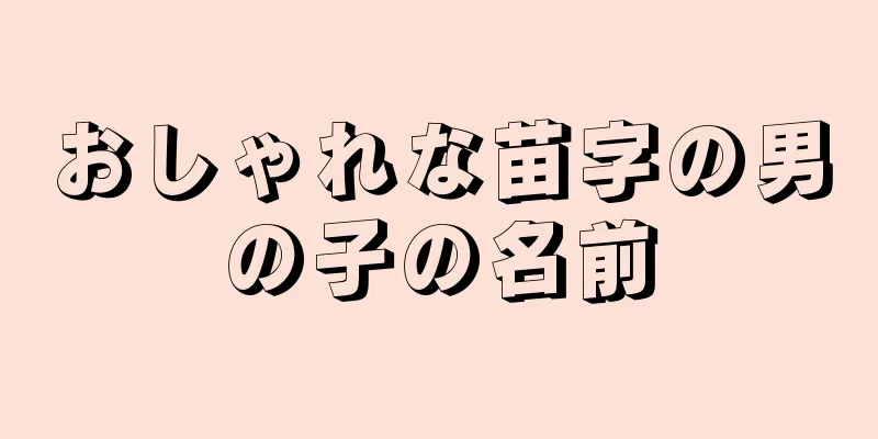 おしゃれな苗字の男の子の名前