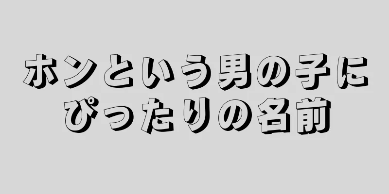 ホンという男の子にぴったりの名前
