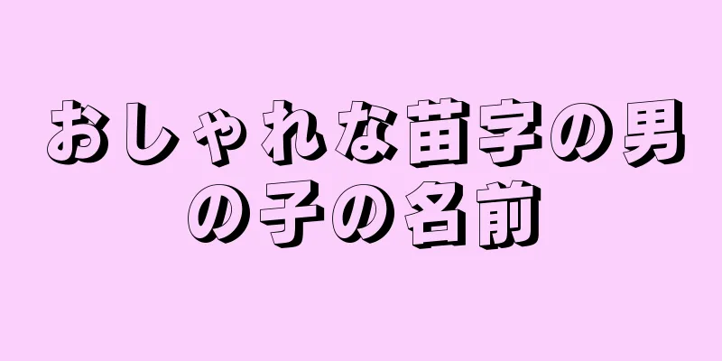 おしゃれな苗字の男の子の名前