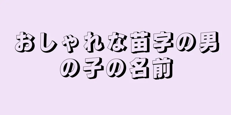おしゃれな苗字の男の子の名前