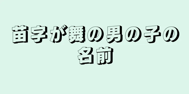 苗字が舞の男の子の名前