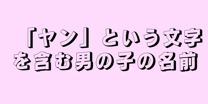 「ヤン」という文字を含む男の子の名前