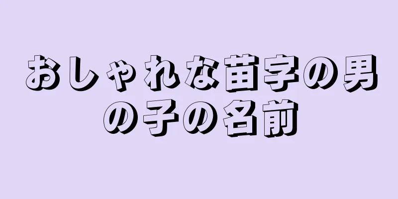 おしゃれな苗字の男の子の名前