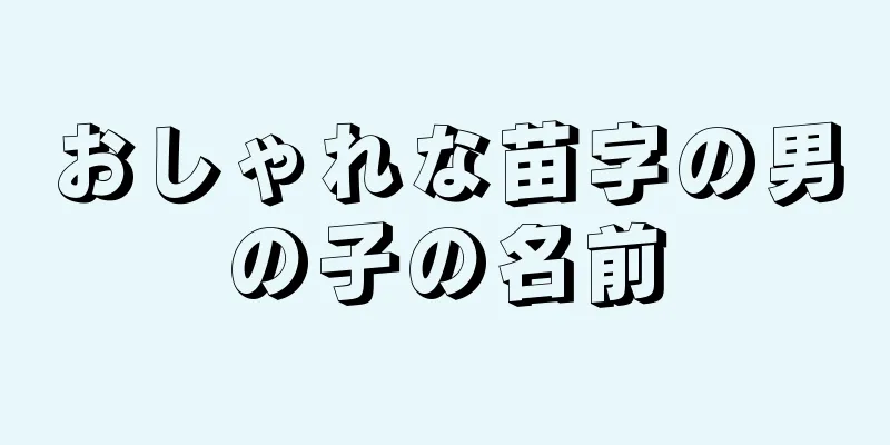 おしゃれな苗字の男の子の名前