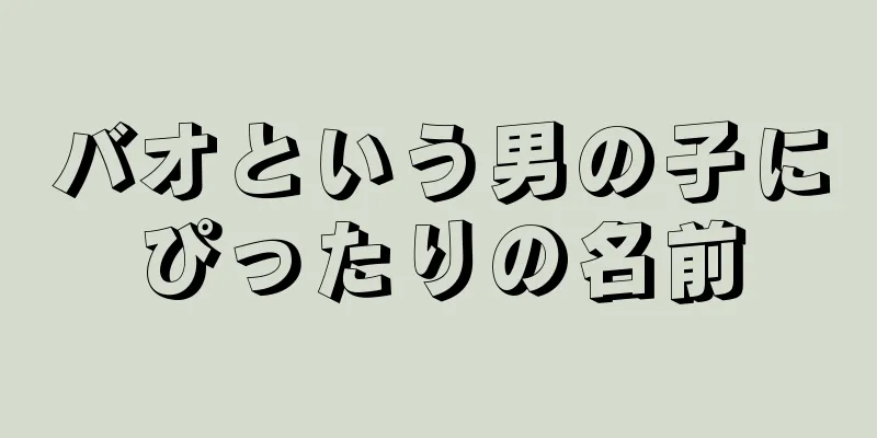バオという男の子にぴったりの名前