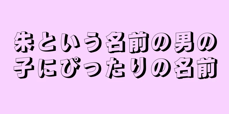 朱という名前の男の子にぴったりの名前