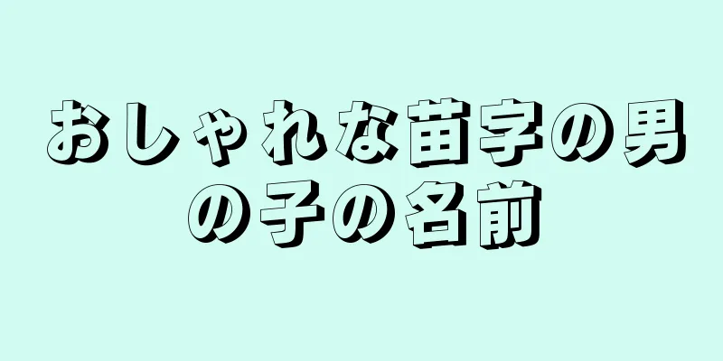おしゃれな苗字の男の子の名前