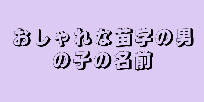 おしゃれな苗字の男の子の名前