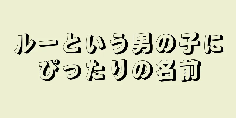 ルーという男の子にぴったりの名前