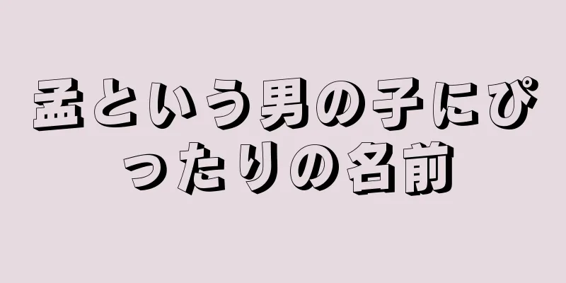 孟という男の子にぴったりの名前