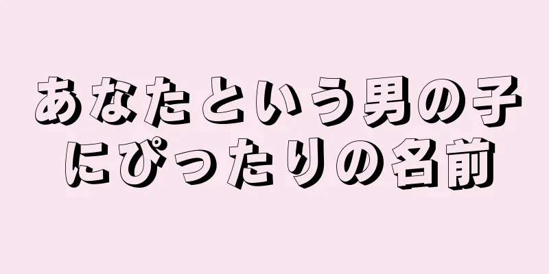 あなたという男の子にぴったりの名前