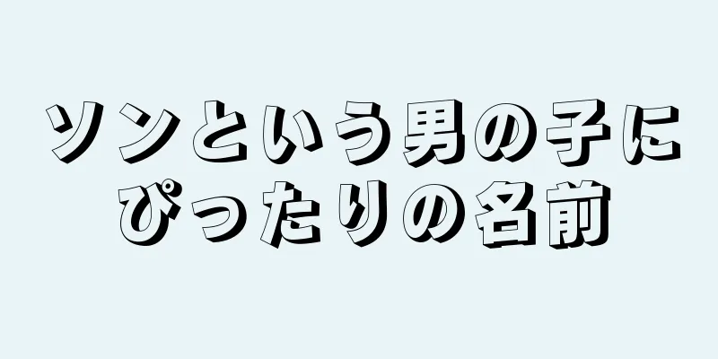 ソンという男の子にぴったりの名前
