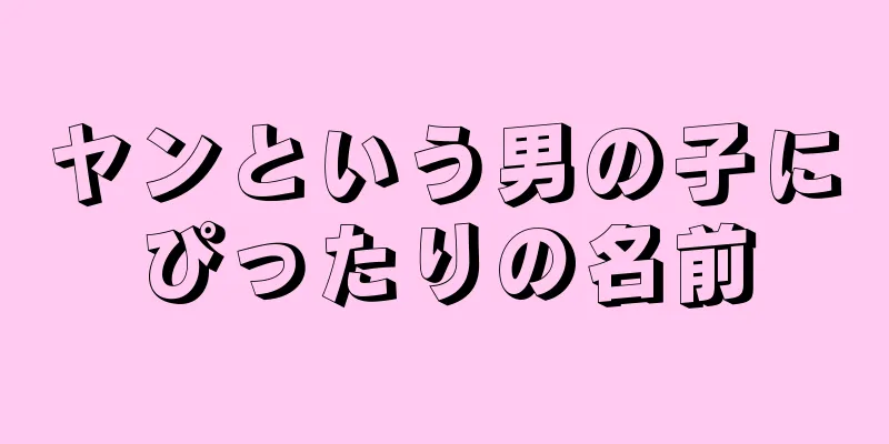 ヤンという男の子にぴったりの名前