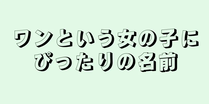 ワンという女の子にぴったりの名前
