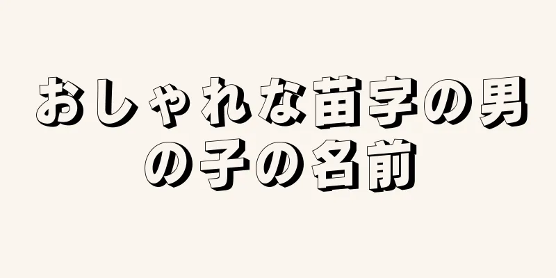 おしゃれな苗字の男の子の名前
