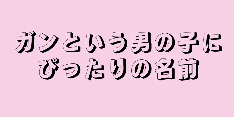 ガンという男の子にぴったりの名前