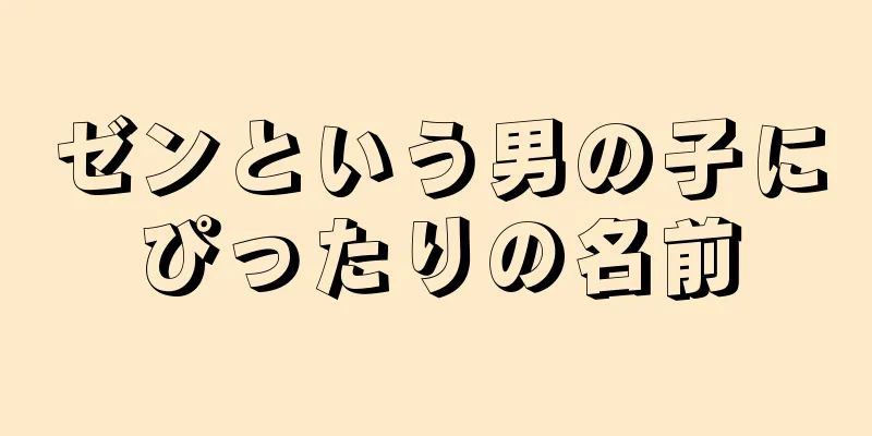 ゼンという男の子にぴったりの名前