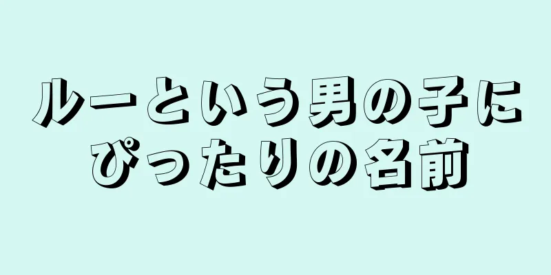 ルーという男の子にぴったりの名前