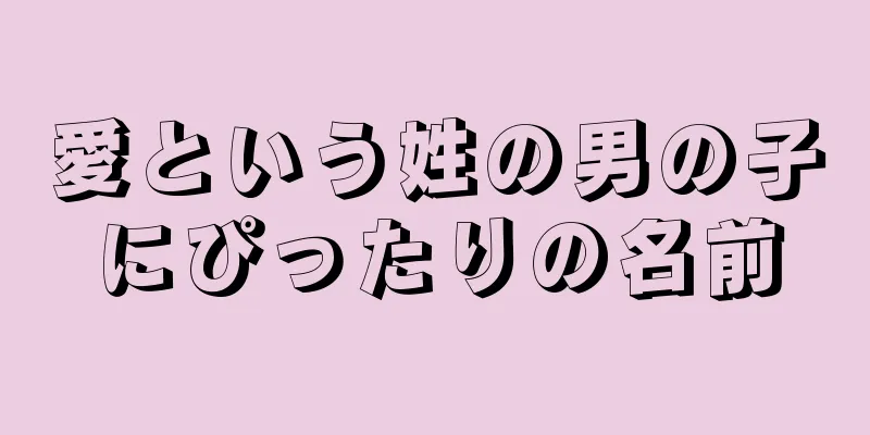 愛という姓の男の子にぴったりの名前