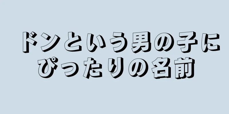 ドンという男の子にぴったりの名前
