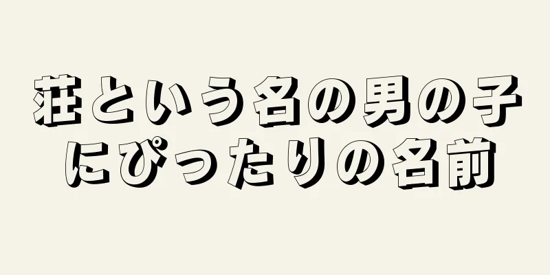 荘という名の男の子にぴったりの名前