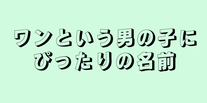 ワンという男の子にぴったりの名前