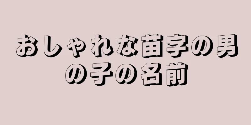 おしゃれな苗字の男の子の名前
