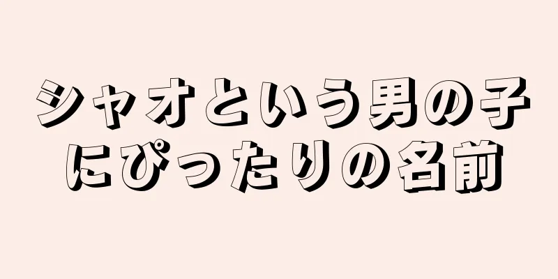 シャオという男の子にぴったりの名前