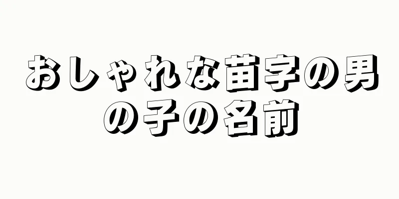 おしゃれな苗字の男の子の名前