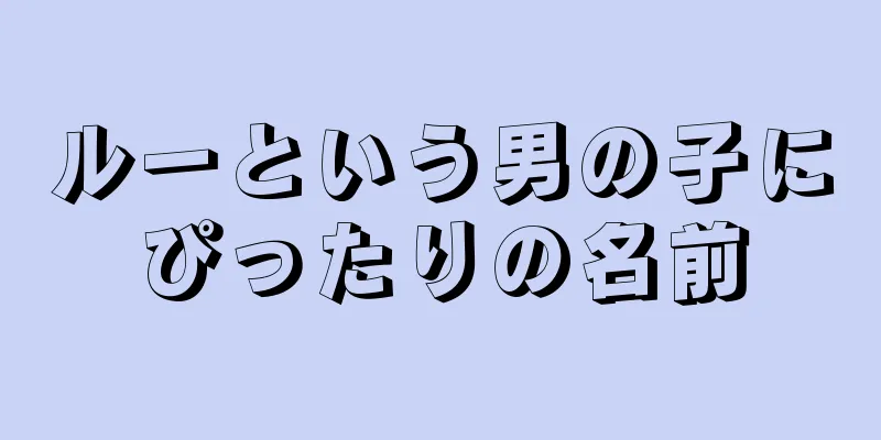 ルーという男の子にぴったりの名前