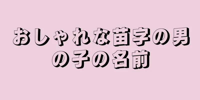 おしゃれな苗字の男の子の名前