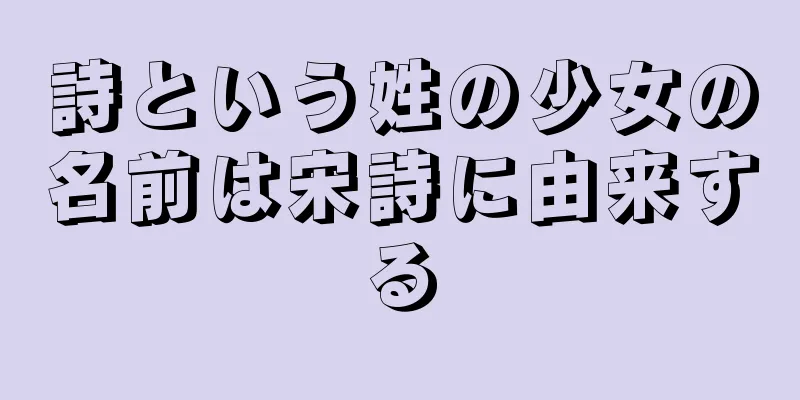 詩という姓の少女の名前は宋詩に由来する