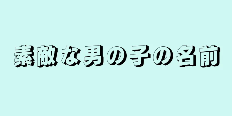 素敵な男の子の名前