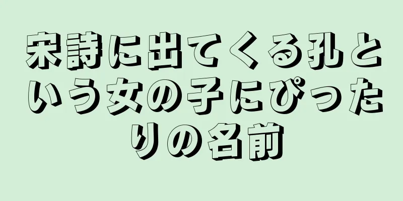 宋詩に出てくる孔という女の子にぴったりの名前