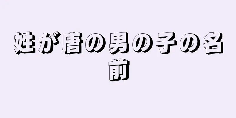 姓が唐の男の子の名前