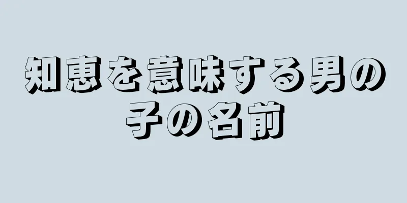 知恵を意味する男の子の名前