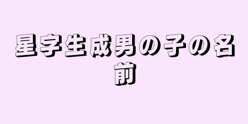 星字生成男の子の名前