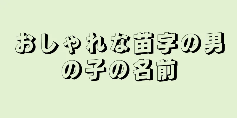 おしゃれな苗字の男の子の名前