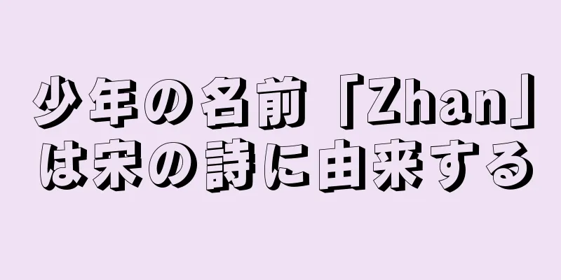 少年の名前「Zhan」は宋の詩に由来する