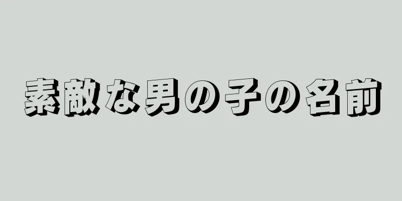 素敵な男の子の名前