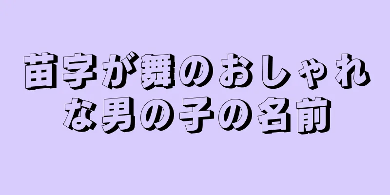 苗字が舞のおしゃれな男の子の名前
