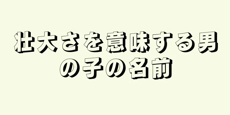 壮大さを意味する男の子の名前