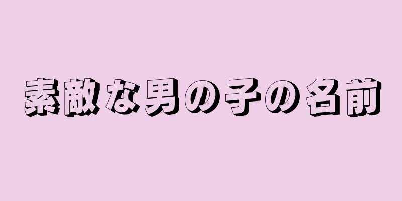 素敵な男の子の名前