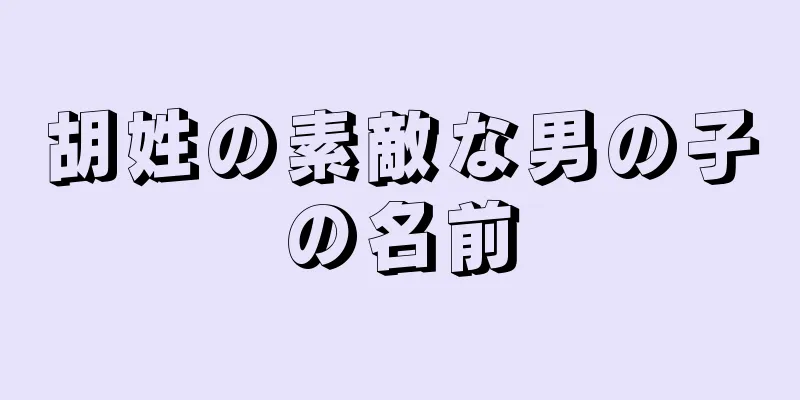 胡姓の素敵な男の子の名前