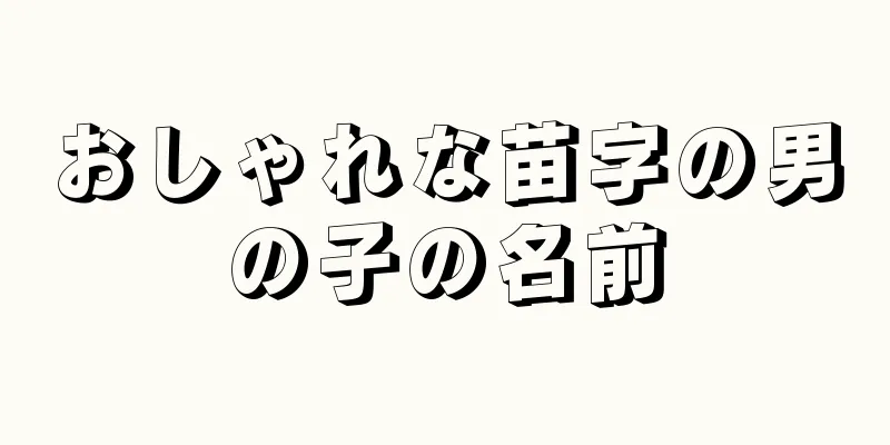 おしゃれな苗字の男の子の名前