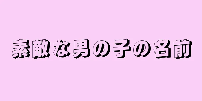 素敵な男の子の名前