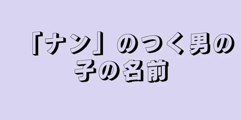 「ナン」のつく男の子の名前