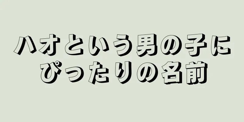 ハオという男の子にぴったりの名前