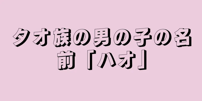 タオ族の男の子の名前「ハオ」